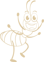  ����� ������� �������